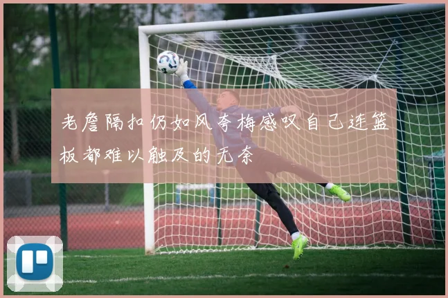 老詹隔扣仍如风夸梅感叹自己连篮板都难以触及的无奈